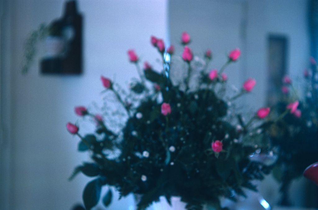 50th Wedding Anniversary, floral arrangement from Senne Zeramby, March 1976, roll 197603H10 slide 5