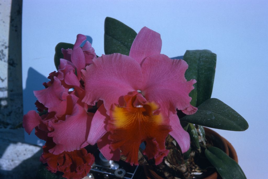 Lc. Armaprospect, Program 3 slide 18, no date on slide