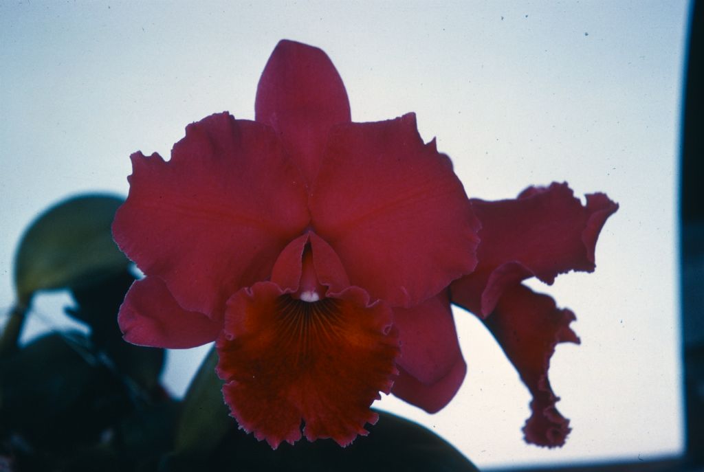 Lc. Castanabid, Program 3 slide 21, duplicate slide made April 1958, roll 195804H8